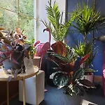 L'atelier Du Reve Lejlighedshotel