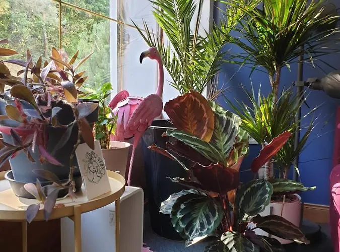 L'atelier Du Reve Lejlighedshotel