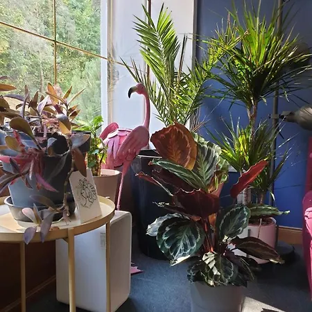 L'atelier Du Reve Aparthotel
